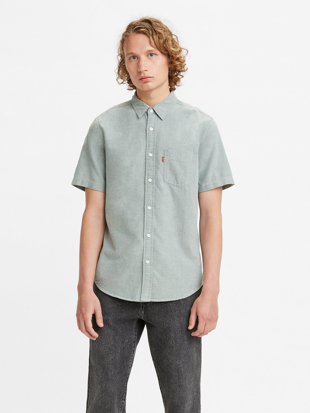 levi's short sleeve check shirt